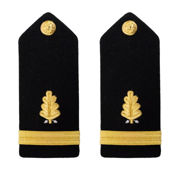 Navy Shoulder Board: Ensign Dental Corps - male on Sale