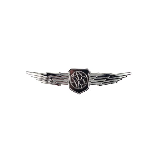 Air Force Badge: Basic Weather & Environmental Sciences - midsize Hot on Sale